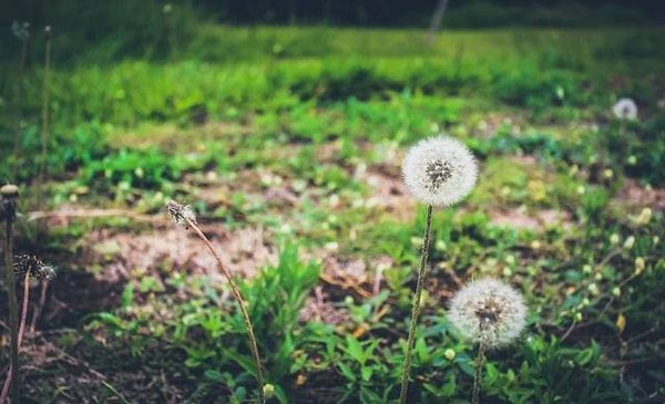 Comment les politiques actuelles influencent-elles le développement durable ?