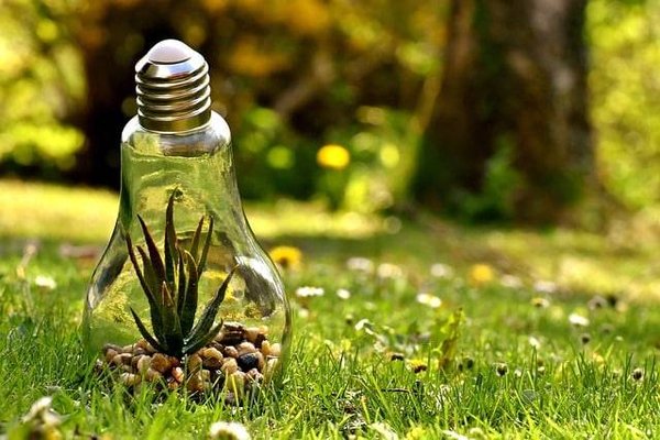 Quels sont les avantages de l'agroécologie pour la biodiversité?