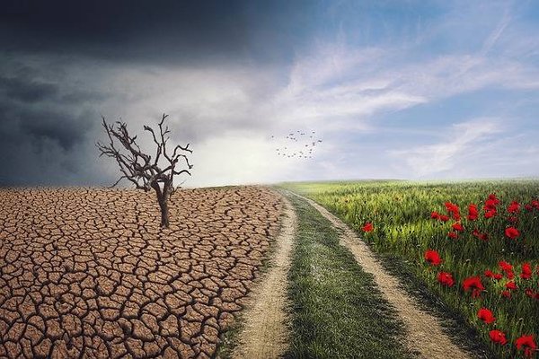 Comment les énergies renouvelables peuvent-elles lutter contre le changement climatique ?