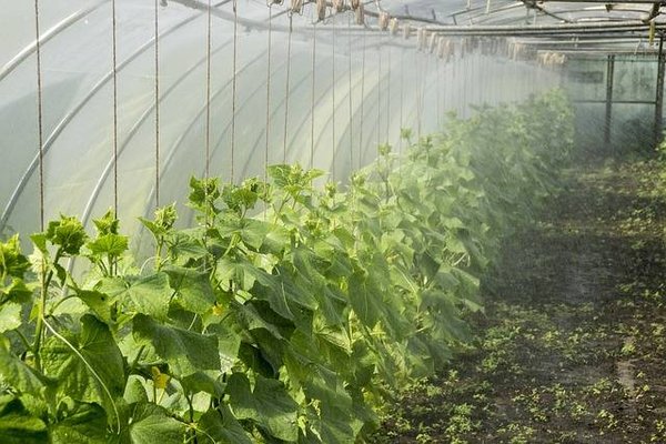 Quel est le lien entre permaculture et énergie renouvelable ?