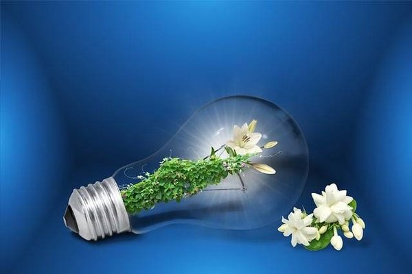 Quels sont les bénéfices de la permaculture pour l'énergie durable ?